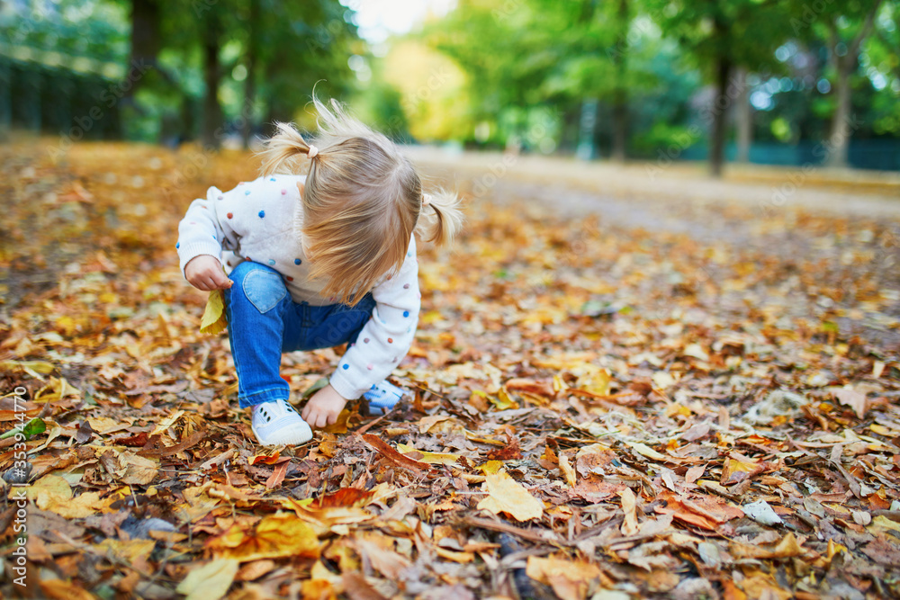 Adorable cheerful toddler girl with pigtails gathering yellow autumn leaves in park Adorable cheerful toddler girl with pigtails gathering yellow autumn leaves in park