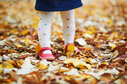 Toddler girl in red shoes and polka dot pantihose standing on fallen leaves in a fall day