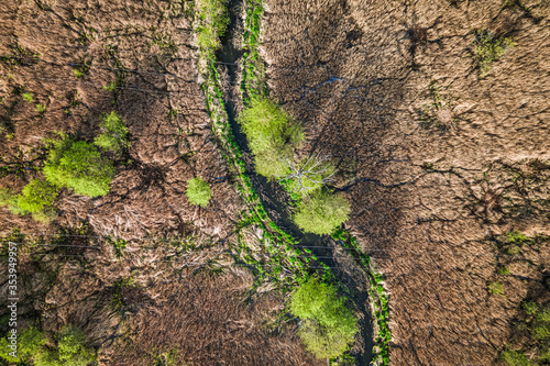 Aerial view of river and swamps in Poland, Europe