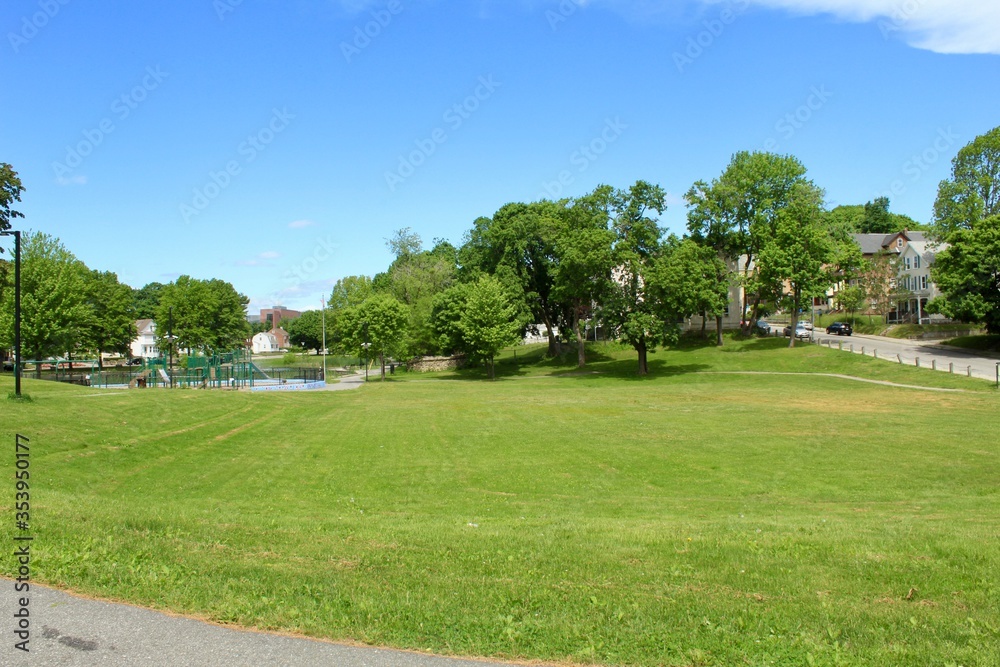 grassy landscape at the park