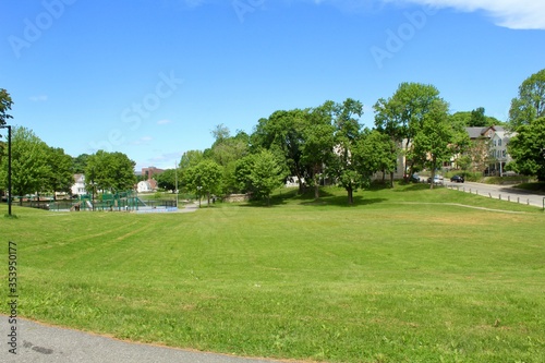 grassy landscape at the park