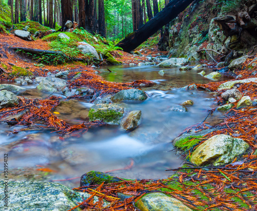 Fototapeta Naklejka Na Ścianę i Meble -  West Fork of Limekiln Creek Flowing  Through Coastal  Redwood Forest in Limekiln State Park, Big Sur, California, USA