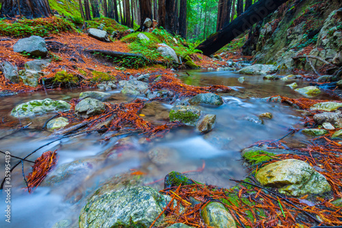 West Fork of Limekiln Creek Flowing Through Coastal Redwood Forest in Limekiln State Park, Big Sur, California, USA