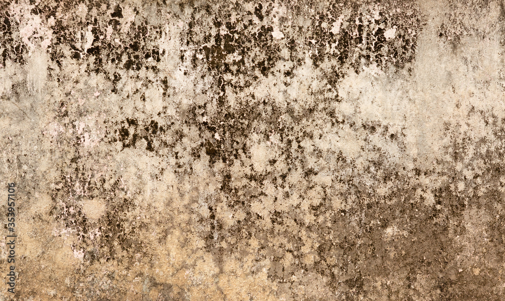 Obraz premium Grunge wall texture background. Paint cracking off dark wall