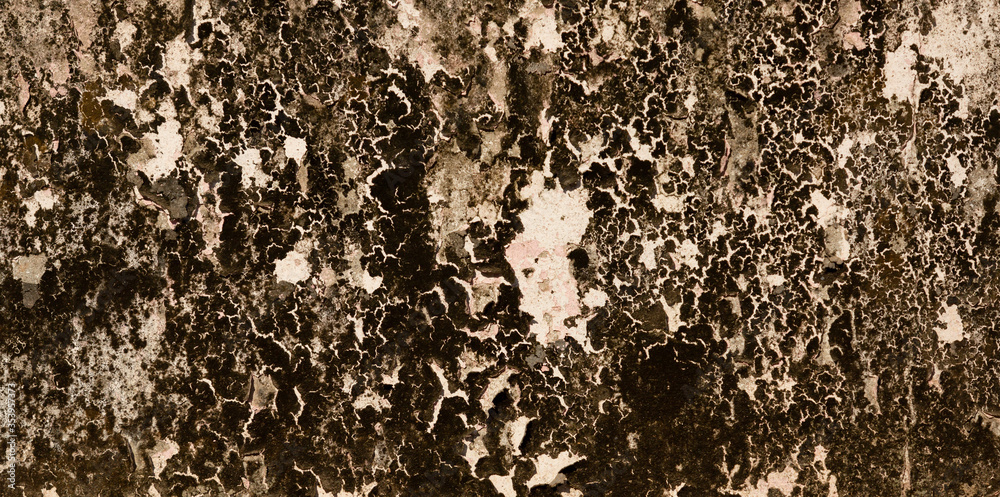 Obraz premium Grunge wall texture background. Paint cracking off dark wall