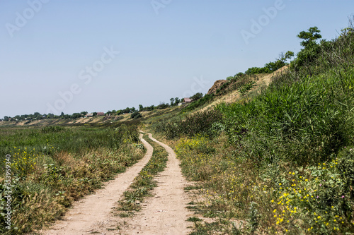 road in the vineyard