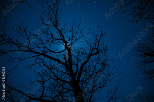 Full moon over quiet village at night. Beautiful night landscape of old town street with lights