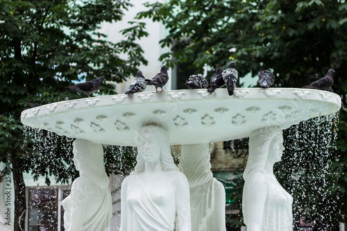 fountain in the park of versailles