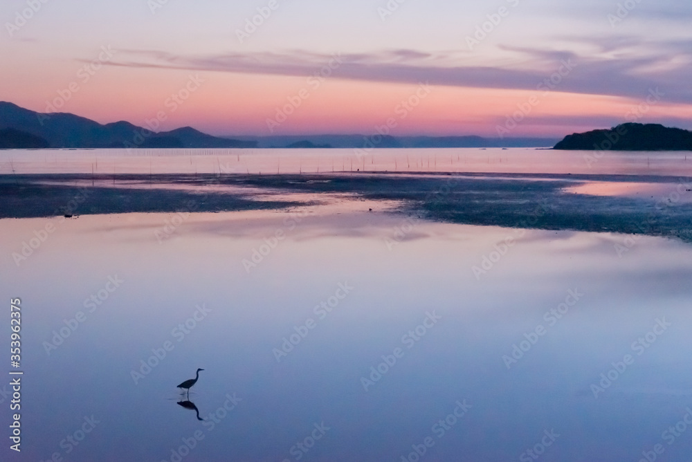 夕方静かな海と一羽の鳥