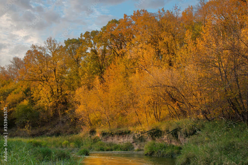 Fototapeta premium Autumn Hillside