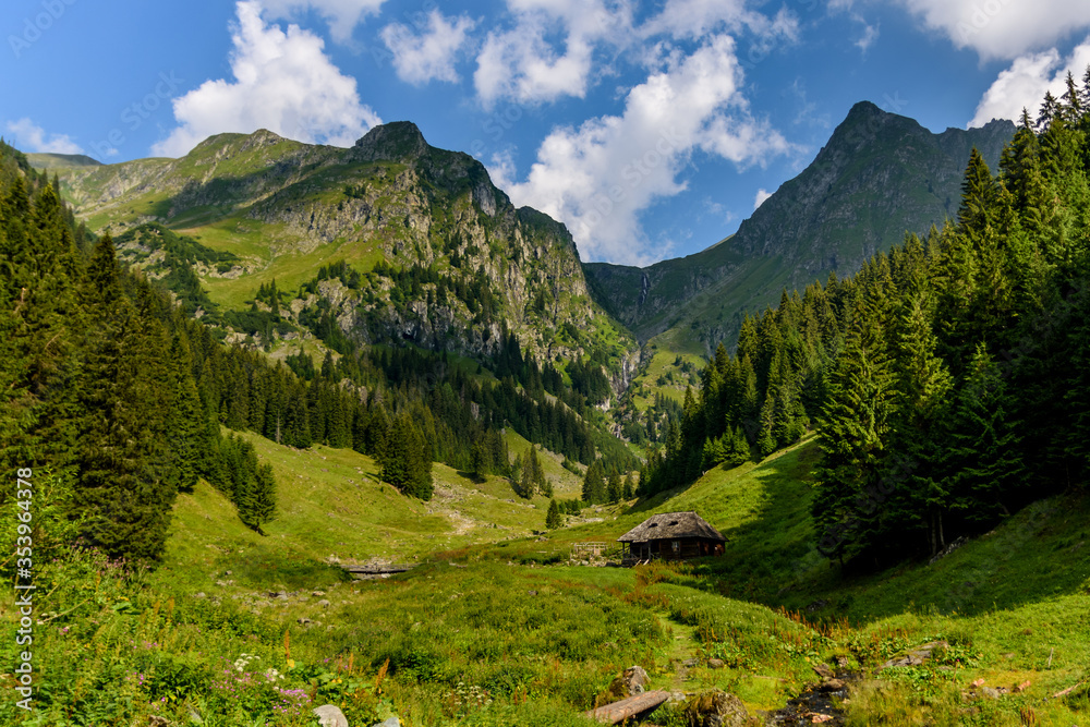 Lush green and colorful natural view from Valea Rea (Bad Valley), Fagaras Mountain