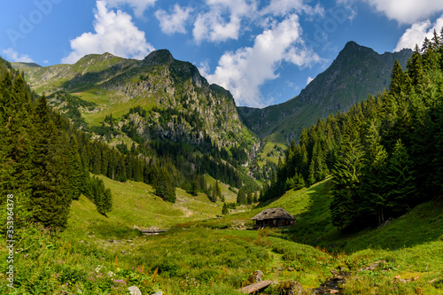 Lush green and colorful natural view from Valea Rea (Bad Valley), Fagaras Mountain photo
