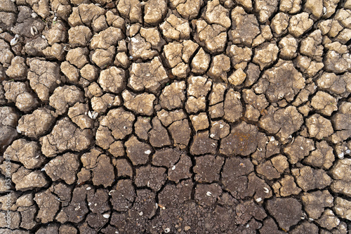 Dry cracked land on dry season background. Global warning concept