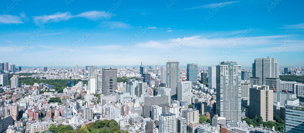 Fototapeta premium 東京風景
