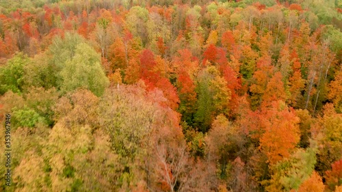 aerial video, flying a drone over the colorful tops of trees of different colors in the autumn forest