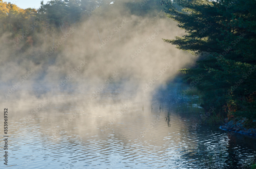 Sunrise above forest lake