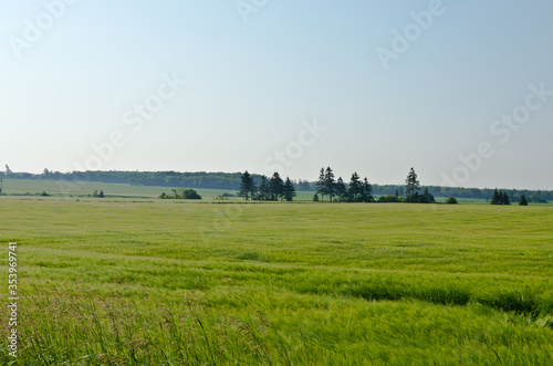 View of fields and forests