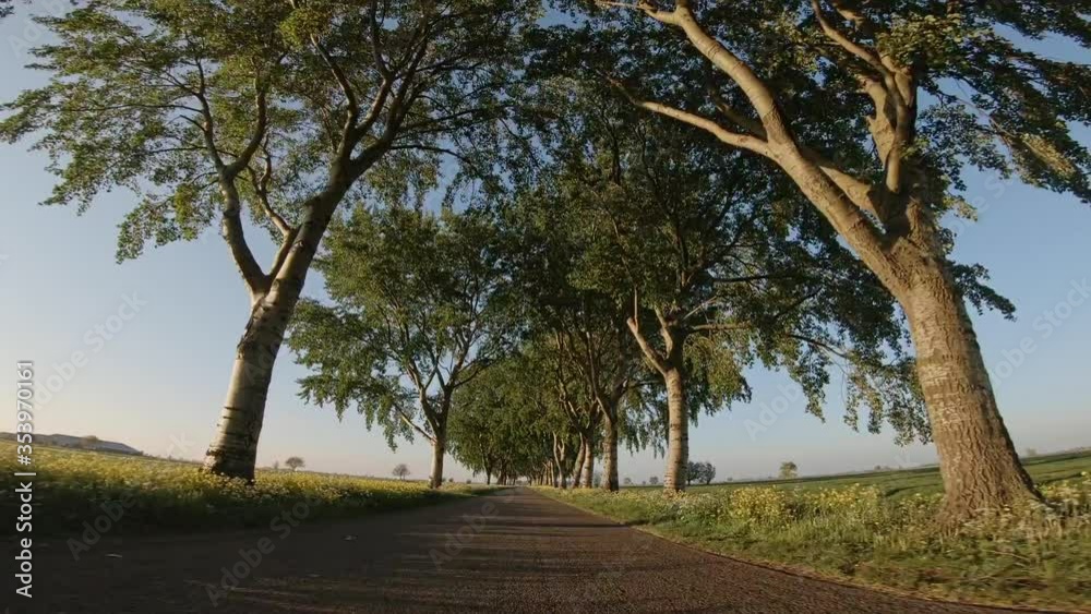 POV, Driving Plate - car driving on a countryside road with trees on the side in the Netherlands on a sunny spring or summer day. POV, Driving Plate - car driving on a countryside road with trees on the side in the Netherlands on a sunny spring or summer day.