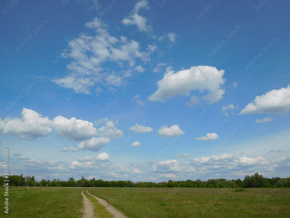 green field and sky with clouds, the dirt road into the distance green field and sky with clouds, the dirt road into the distance