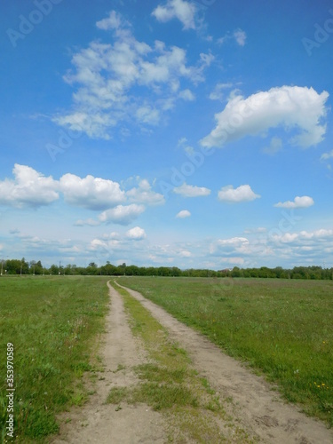 Fototapeta Naklejka Na Ścianę i Meble -  road in a summer field stretching over the horizon in a blue sky with white clouds landscape