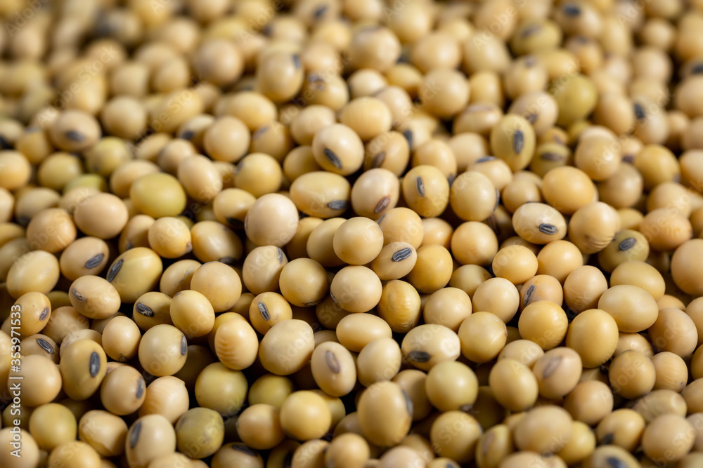 Top view Soybean pattern as for background Top view Soybean pattern as for background