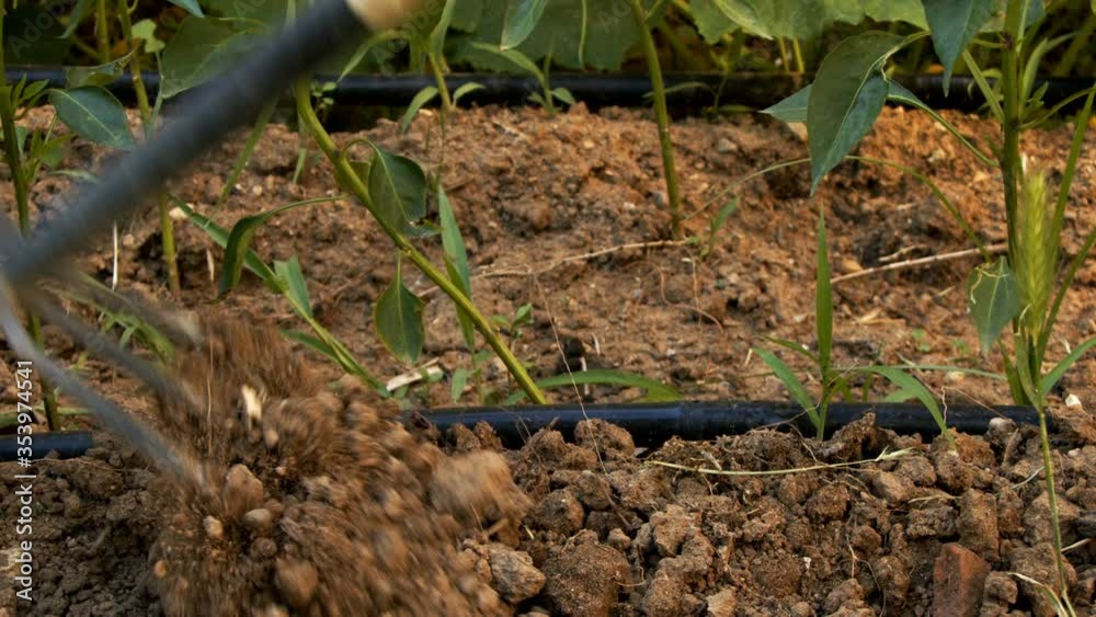 Plowing the Soil Farming Concept Plowing the Soil Farming Concept