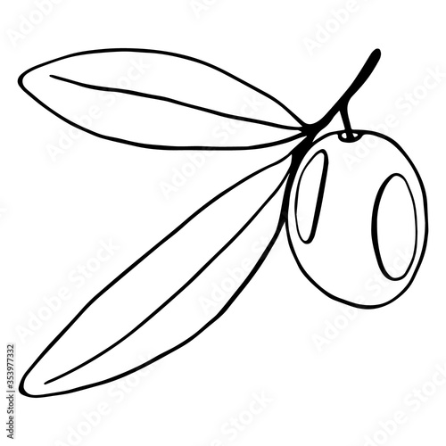 Black and white illustration of olive branch.
