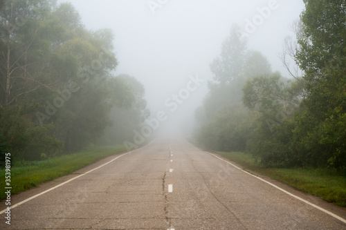 Asphalt road passing through the forest in the morning fog. Summer landscape.