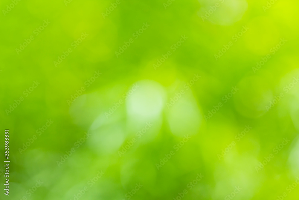 Abstract bokeh green and yellow blur from light nature use as background image for pasting text or characters