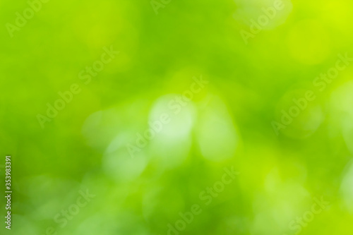 Abstract bokeh green and yellow blur from light nature use as background image for pasting text or characters