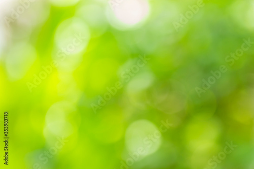 Abstract green bokeh and blur from light nature use as background image for pasting text or characters