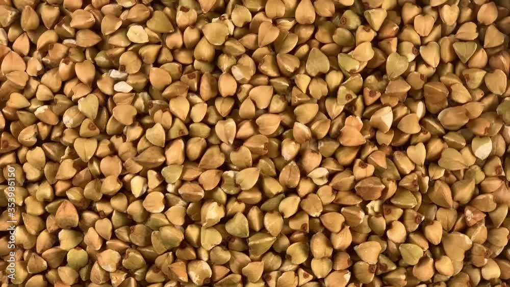 Green Raw Dried Buckwheat Close-up Rotates Clockwise Green Raw Dried Buckwheat Close-up Rotates Clockwise