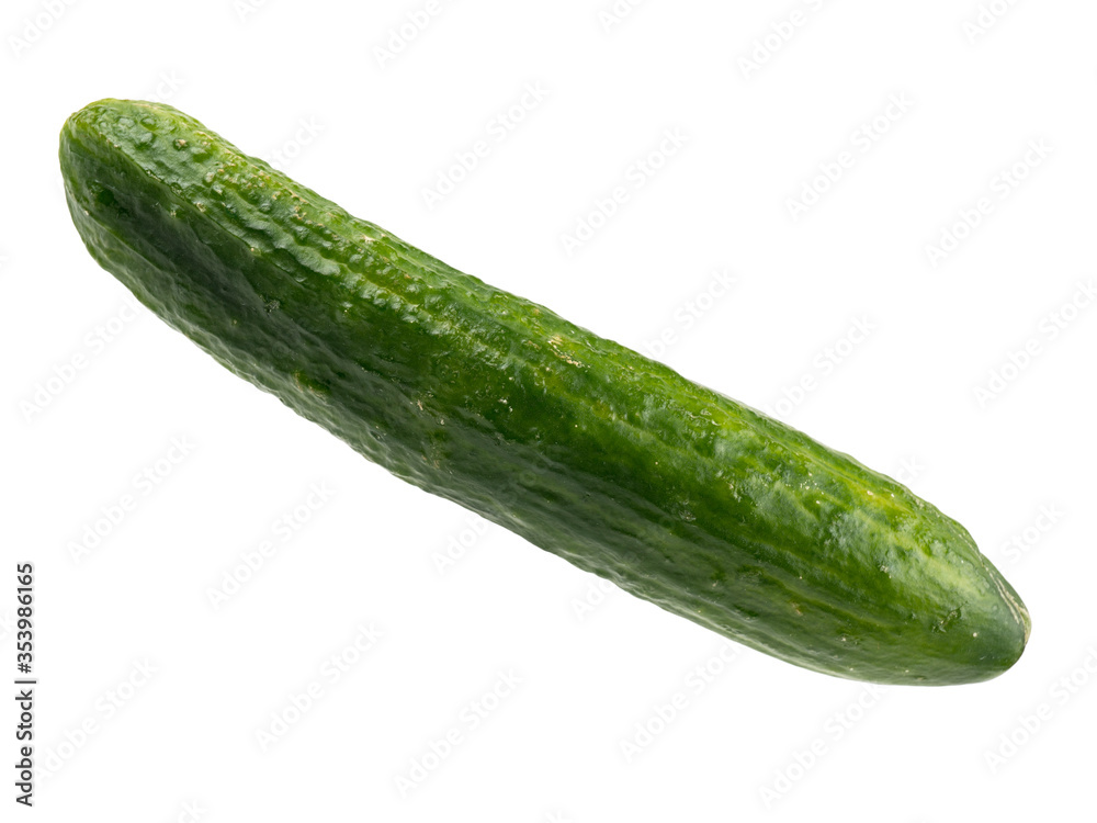 Cucumber vegetable isolated on white background Cucumber vegetable isolated on white background