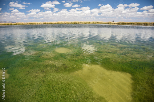 summer landscape with lake