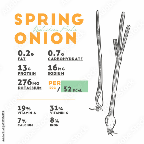 Nutrition facts of spring onion, hand draw sketch vector.