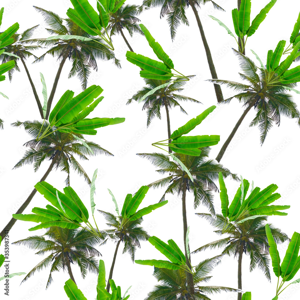 Obraz premium tropical palm trees seamless print on white background