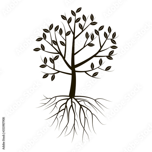 Vector tree of black color on a white background. Tree silhouette with root and foliage.