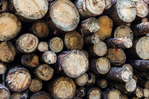 dry wood stacked in a pile for the winter