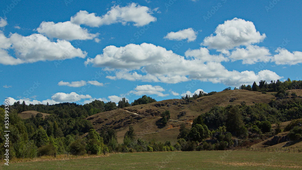 Landscape at Waitomo walkway near Waitomo in Waikato region on North Island of New Zealand 

