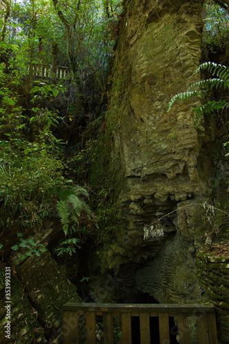 Ruakuri Bushwalk near Waitomo in Waikato region on North Island of New Zealand  