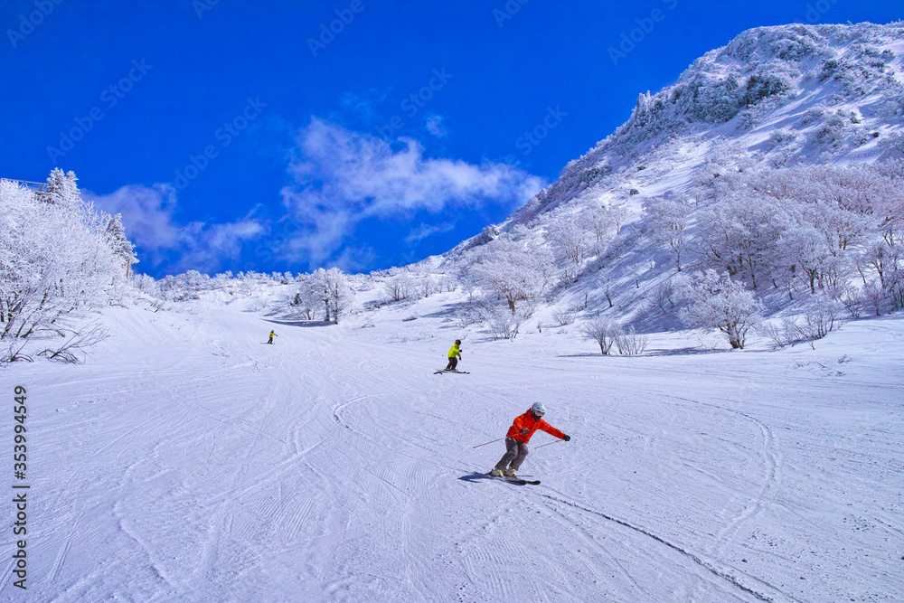 真冬のゲレンデを滑走するスキーヤー達
