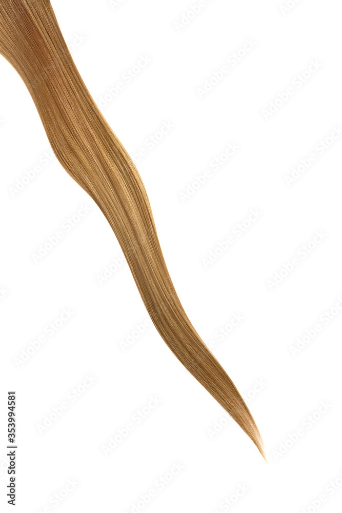 Brown hair on white background, isolated. Thin thread
