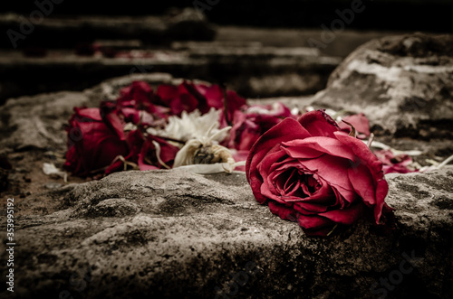 bouquet of red roses