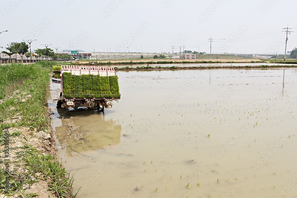 Obraz premium 한국 경기도 시흥시 갯골생태공원 입니다