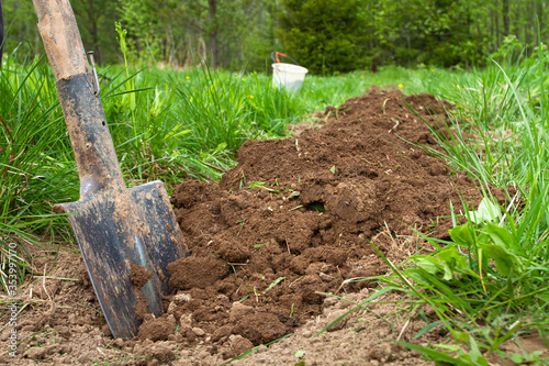 the shovel stands on freshly dug soil