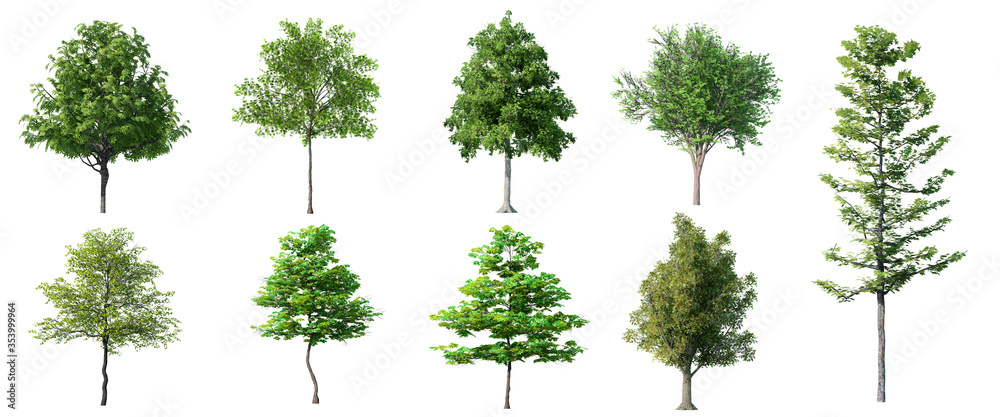 Φωτογραφία Collection Beautiful 3D Trees Isolated on white background , Use for visualizati