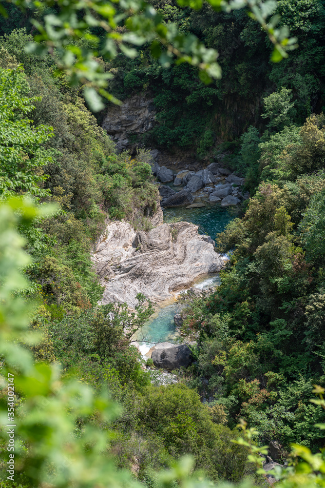 High angle view Barbaira mountain stream, amidst plants in forest, Ligurian Alps, Italy