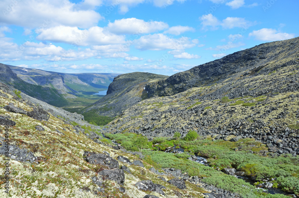 Kola Peninsula, Murmansk region, Lovozero tundras in summer