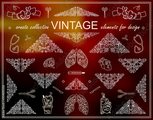 Lovely collection of abstract anatomy and medicine elements for design. Cute triangle borders with different arts inside them. Sweet hand drawing illustration in ornate doodle style