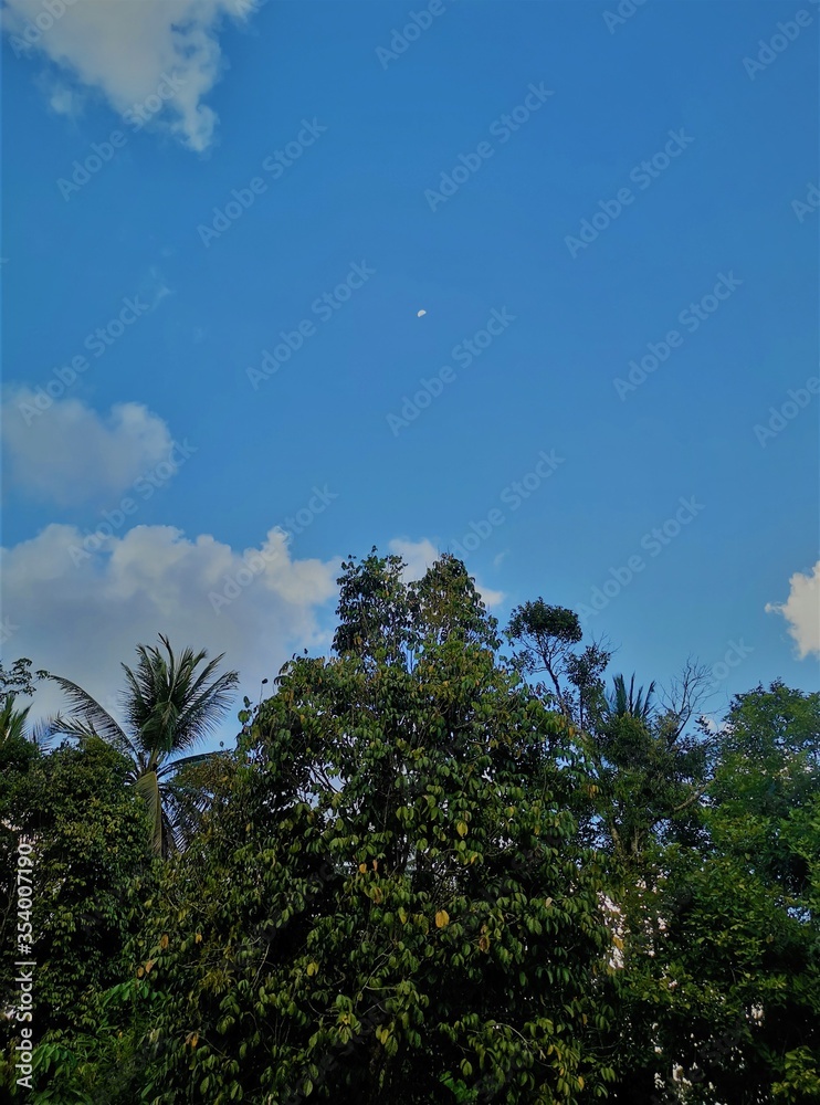 Obraz premium Green nature with beautiful clouds and faraway small moon in the blue sky